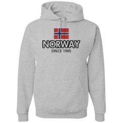 Unisex Basic Promo Hoodie