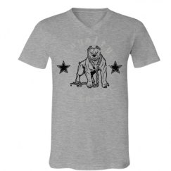 Unisex V-Neck Jersey Tee