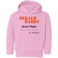 Toddler Hooded Sweatshirt