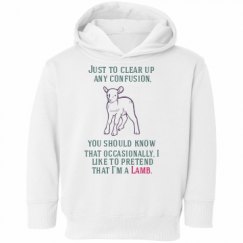 Toddler Hooded Sweatshirt