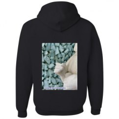 Unisex Basic Promo Hoodie