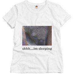 koala sleeping
