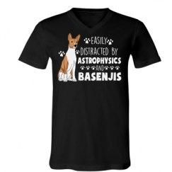 Unisex V-Neck Jersey Tee