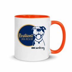 11oz Ceramic Mug with Color Inside