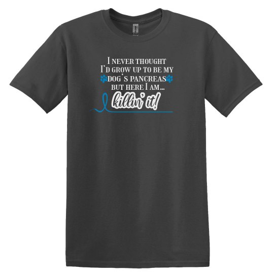 Dog diabetes Dog diabetes