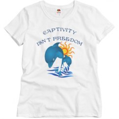 Ladies Basic Softstyle Promo Tee