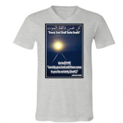 Unisex V-Neck Jersey Tee