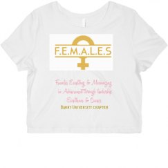 Ladies Slim Fit Crop Top Tee