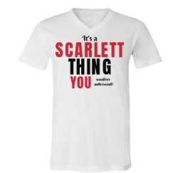 Unisex V-Neck Jersey Tee