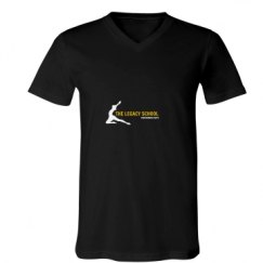 Unisex V-Neck Jersey Tee