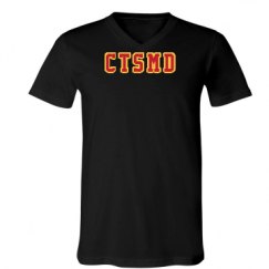 Unisex V-Neck Jersey Tee