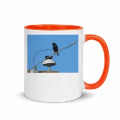 11oz Ceramic Mug with Color Inside