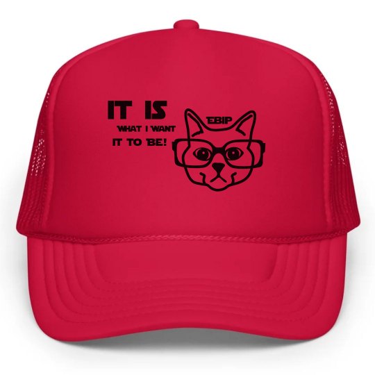 EBIP IT IS Snap-back hat