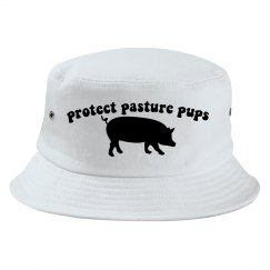 protect pigs