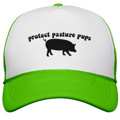 Snapback Trucker Hat