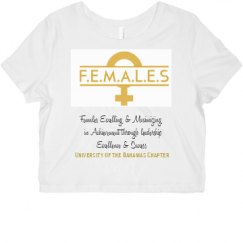 Ladies Slim Fit Crop Top Tee