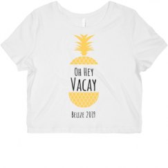 Ladies Slim Fit Crop Top Tee