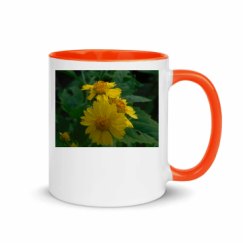 11oz Ceramic Mug with Color Inside