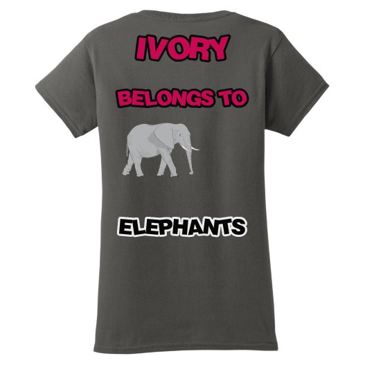 Elephants 