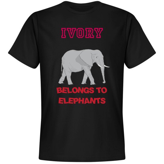 Elephants 