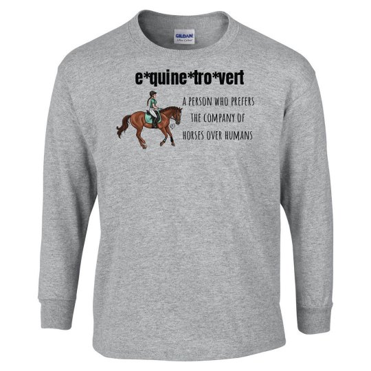 equinetrovert equinetrovert
