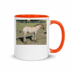 11oz Ceramic Mug with Color Inside