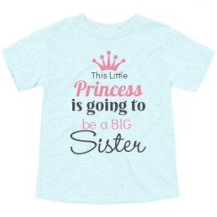 Toddler Triblend Tee