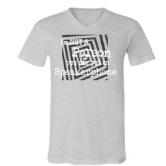 Unisex V-Neck Jersey Tee