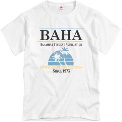 BAHA design 1