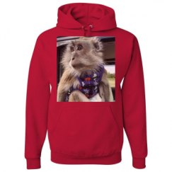 Unisex Basic Promo Hoodie