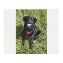 50 Inch Throw Blanket