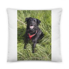 All Over Print 22 Inch Pillow