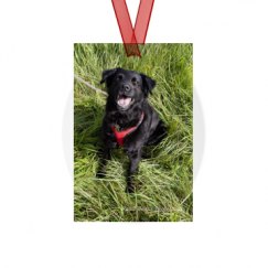 Metal Oval Christmas Ornament