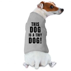 personalised dog clothes