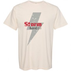 Adult Heavyweight T-Shirt