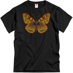 Butterfly Brown butterfly