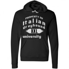 Unisex Fleece Pullover Midweight Hoodie