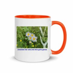 11oz Ceramic Mug with Color Inside