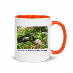 11oz Ceramic Mug with Color Inside