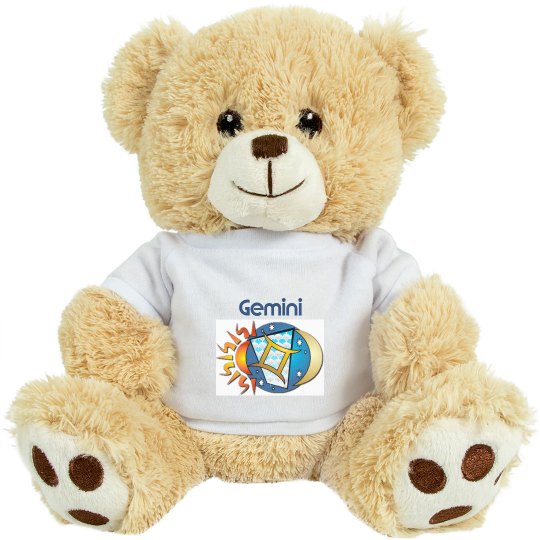 Gemini Teddy Bear