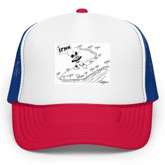 Hurricane Irma-Mickey