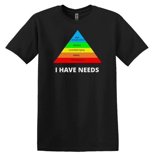 I HAVE NEEDS - PSYCHOLOGY