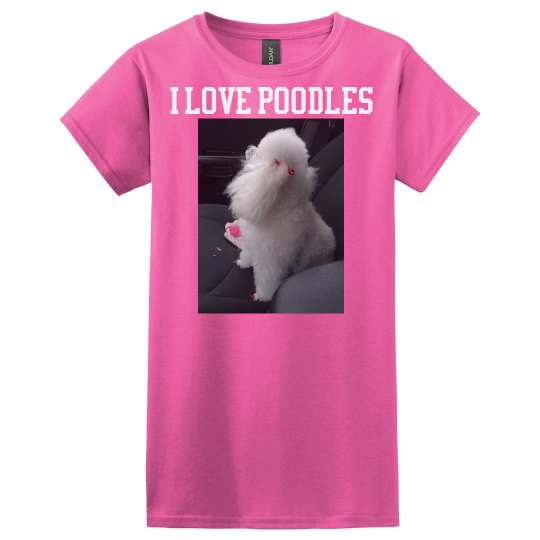 I Love Poodles
