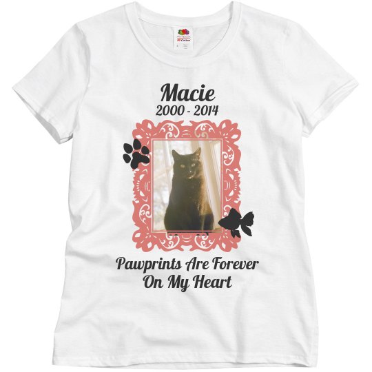 In Memory Of Pet Cat In Memory Of Pet Cat