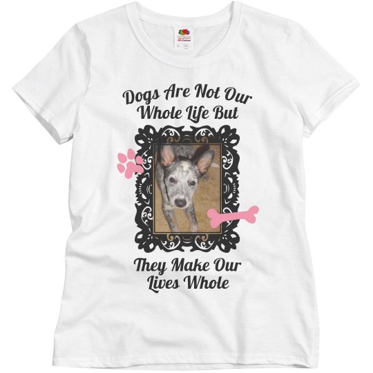 In Memory Of Pet In Memory Of Pet