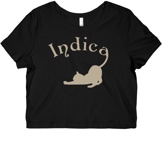 Indica croptop Indica croptop