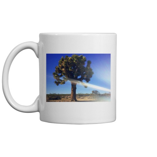 Joshua tree & Palm tree Joshua tree & Palm tree