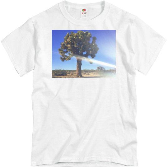 Joshua tree
