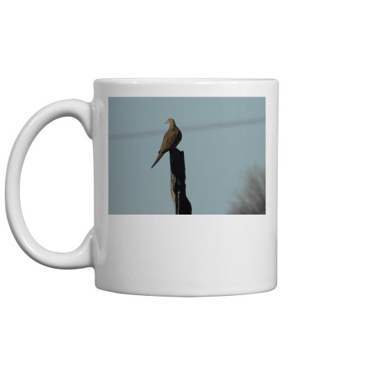 JoyElaineNicoski JoyElaineNicoski