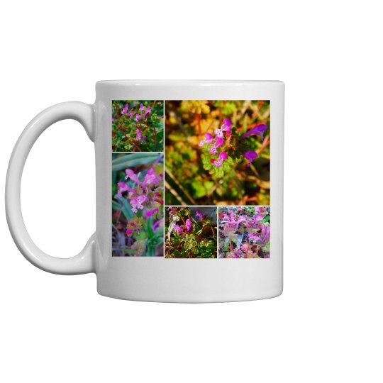 JoyElaineNicoski JoyElaineNicoski